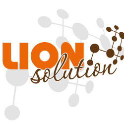 LION solution UG